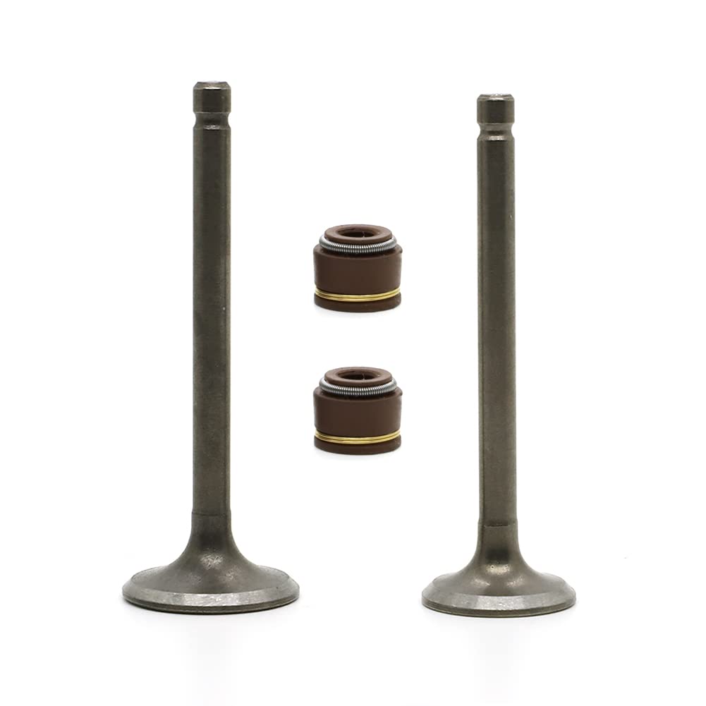 Autovic Valve Set Intake Exhaust Valves With Seals For Yamaha Atv Badger Realtree Hunter Champ Raptor Yfm80R Yfm80W Yfm100 Replace 22K-12111-03-00 22K-12121-03-00