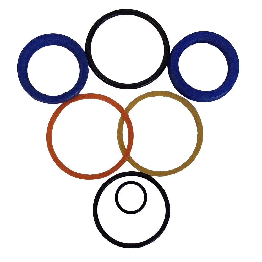 Raparts 160579A1 Fits Case Excavator Arm Cylinder Seal Kit 9030B (Without Long Reach)