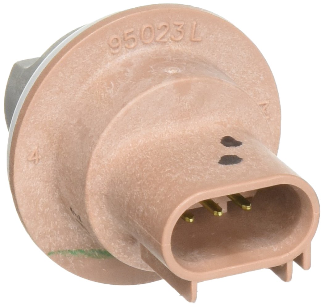 Park And Turn Signal Socket