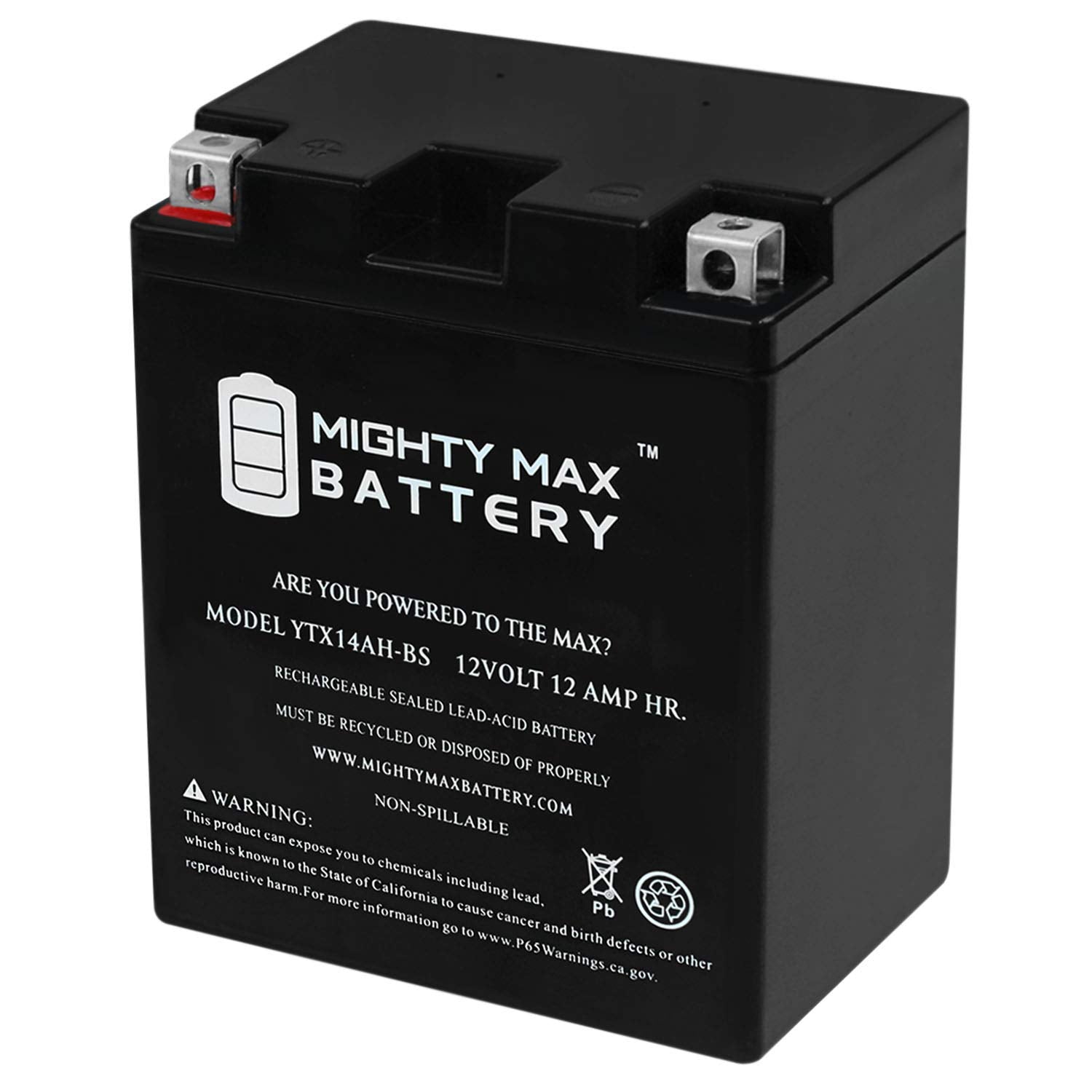 Mighty Max Battery Ytx14Ah-Bs Battery For Suzuki Quad Runner King Quad Ltf300 Ltf4Wd 300