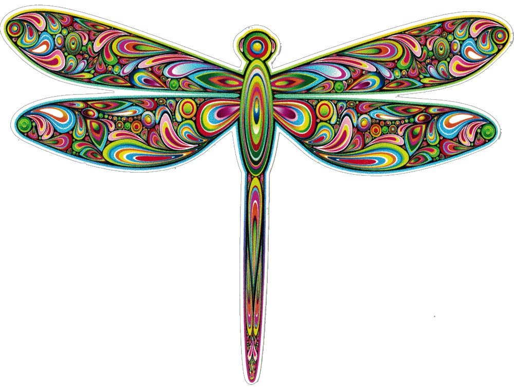 Unique Bright Dragonfly Beautiful Tie Dye Full Color Indoor Outdoor Car Suv Bumper Sticker Laptop Decal 5-By-4 Inches